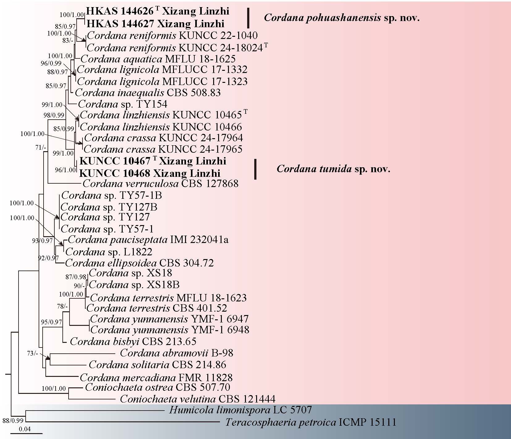 Figure 47